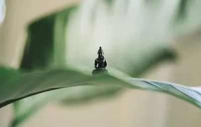 专业数据服务，助力电竞决策 - 极速电竞